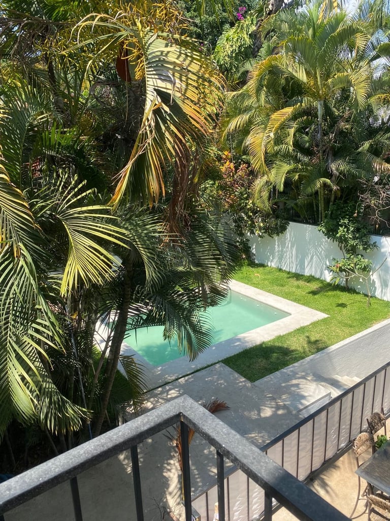 Elevated view of a tropical backyard with a small turquoise swimming pool surrounded by palm trees, green lawn, and white walls