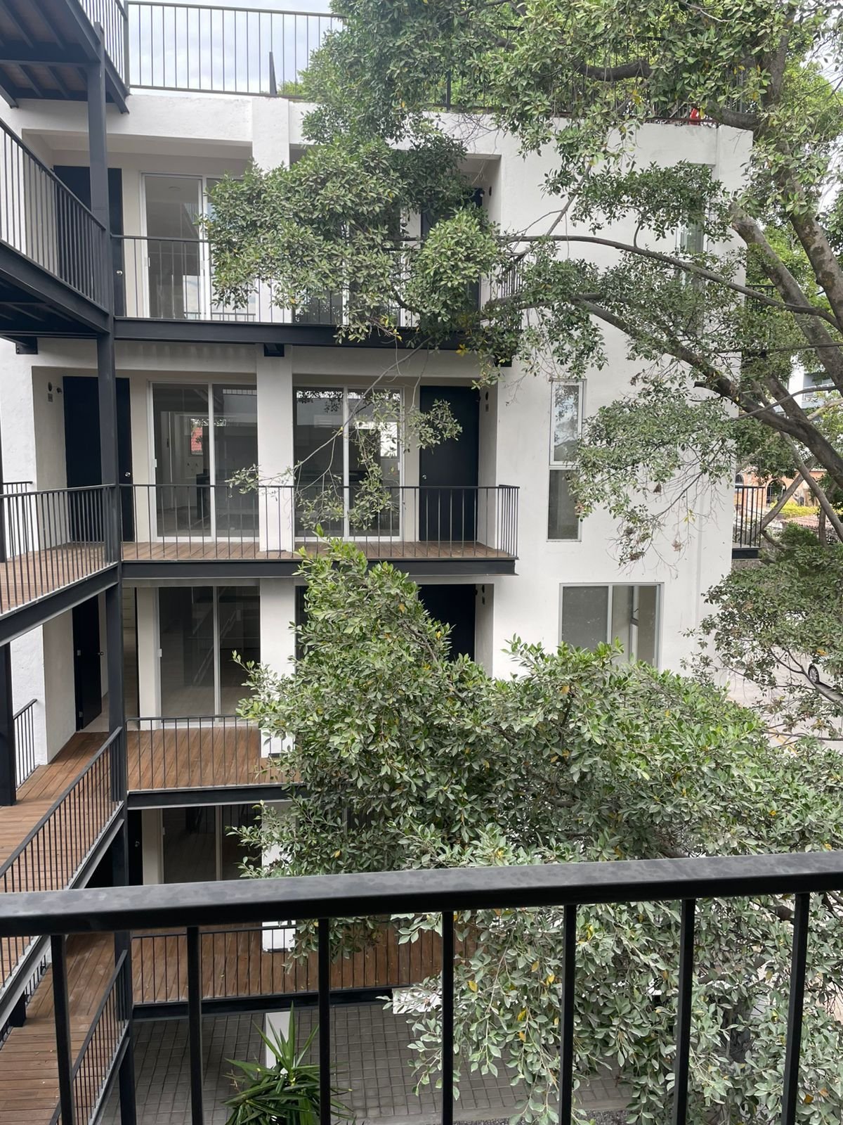 Modern multi-story residential building with white and black facade, metal railings, wooden balconies, and large mature trees integrated into the architecture
